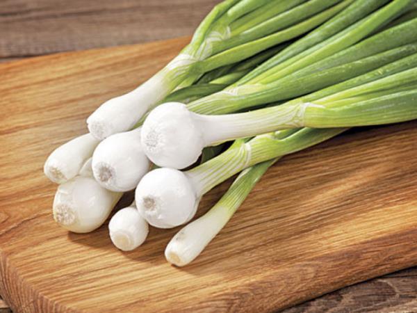 Mlada čebula, zaklad vitaminov in mineralov